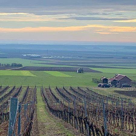 Kuca Za Odmor Kiss-Karanac,Baranja Villa Exterior foto