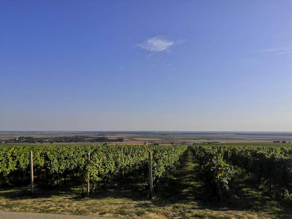 Kuca Za Odmor Kiss-Karanac,Baranja Villa Exterior foto