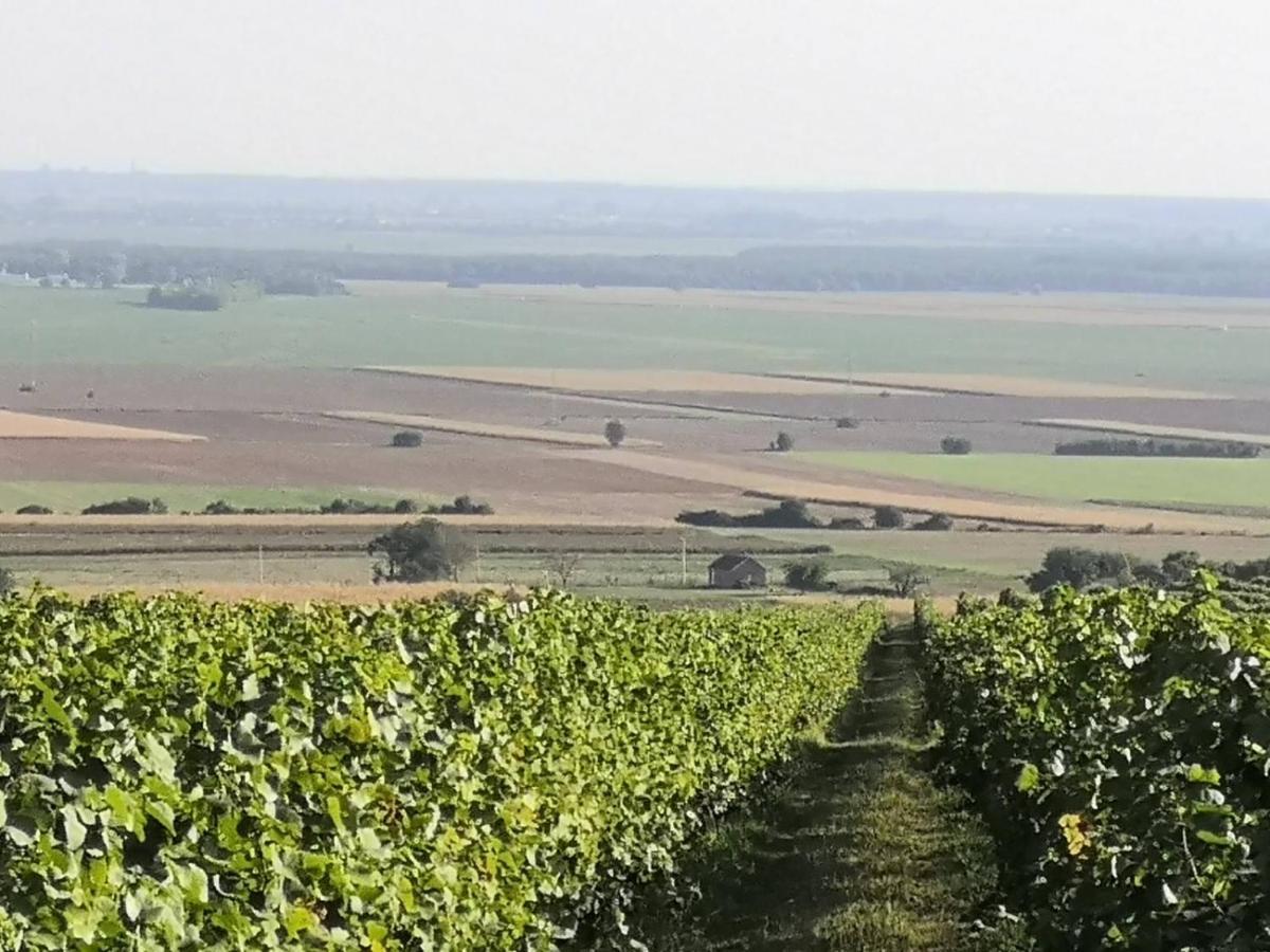 Kuca Za Odmor Kiss-Karanac,Baranja Villa Exterior foto