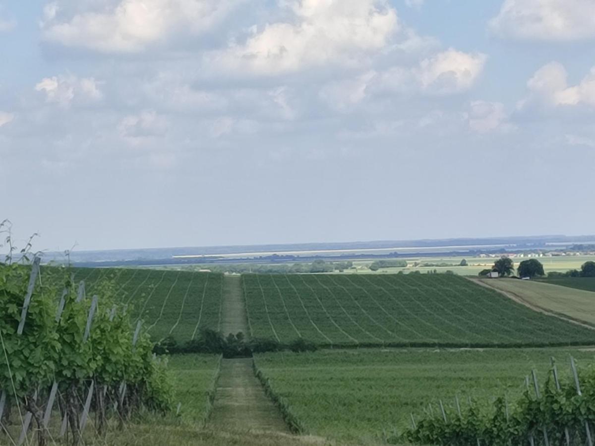 Kuca Za Odmor Kiss-Karanac,Baranja Villa Exterior foto